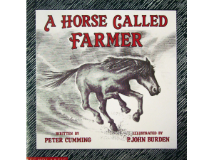 A Horse Called Farmer